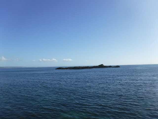 DSCF6733.jpg