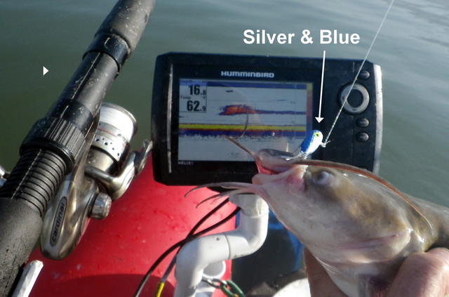 SILVER-BLUE