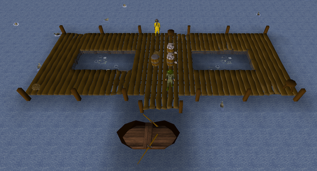 new platform