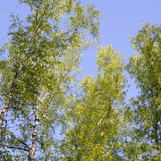 DSC3542