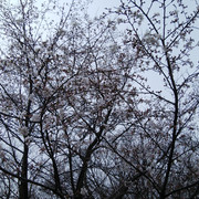DSC-0034