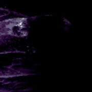 008-6