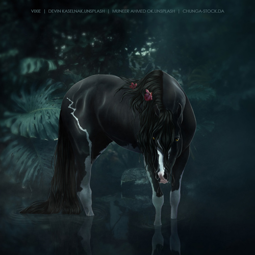 panther-horse-avi.jpg