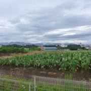 P1330485