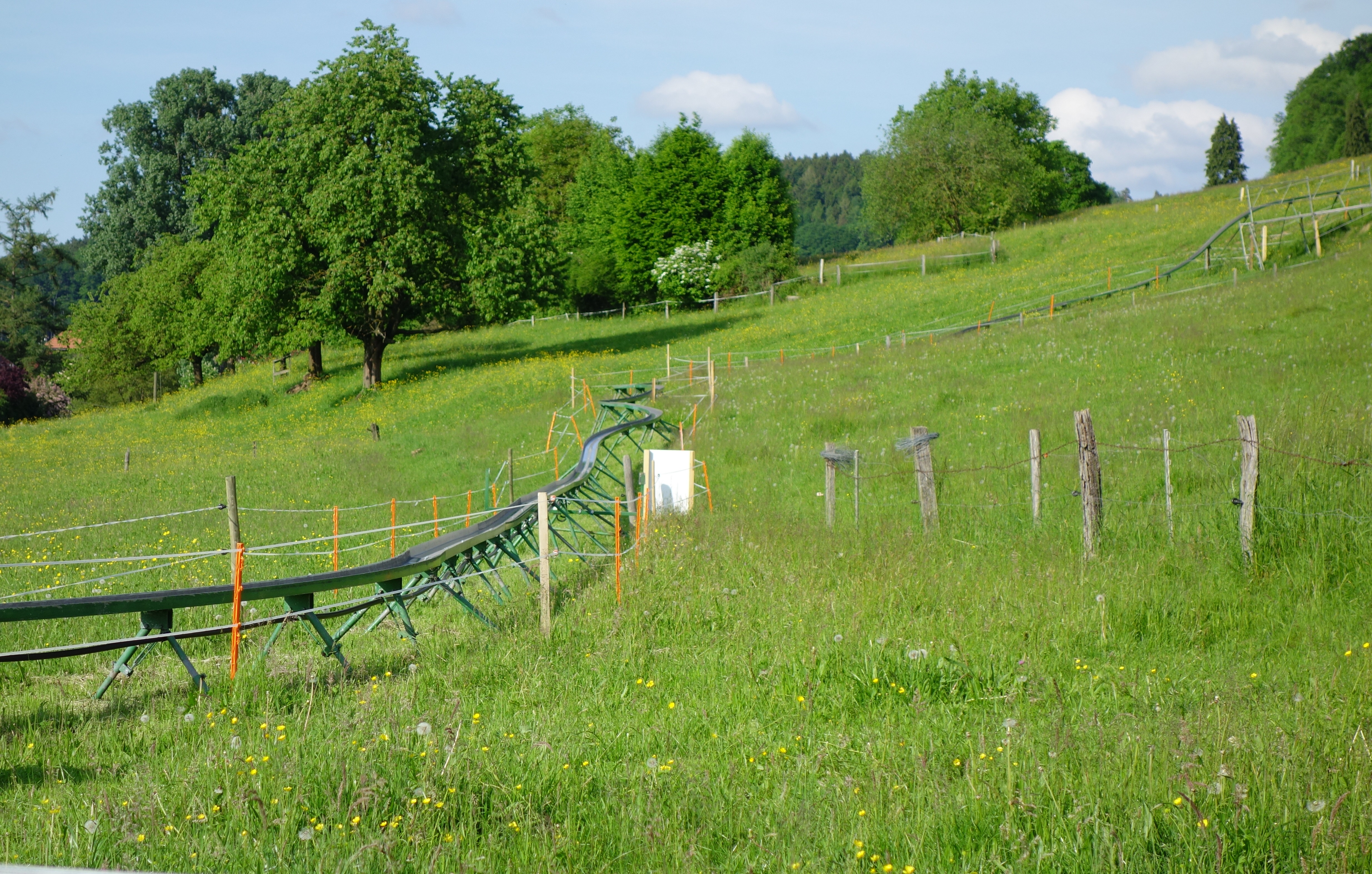 DSC00958