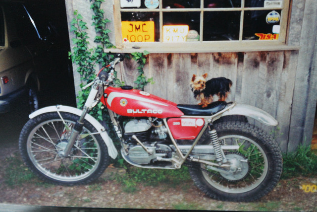 norton