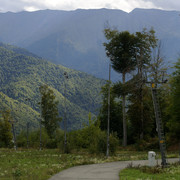 DSC7160