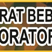srt-bebas-lab.jpg