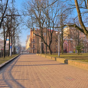 DSCF6246