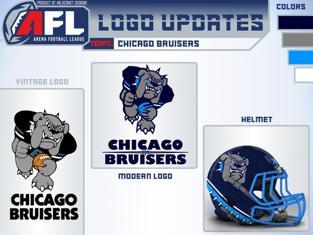 CHI Bruisers Update Display.jpg