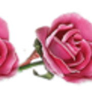 0-991a0-ee712f81-M