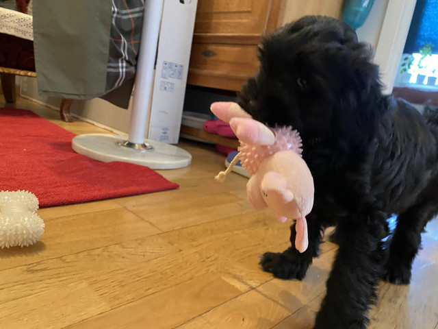 AA2-C2153-B8-E2-43-E0-AF58-35-DB1-EDD92-