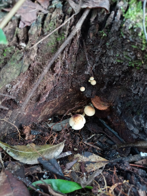 20201003-095937.jpg