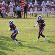 IMG-2084
