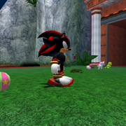 Coral-chase-ball