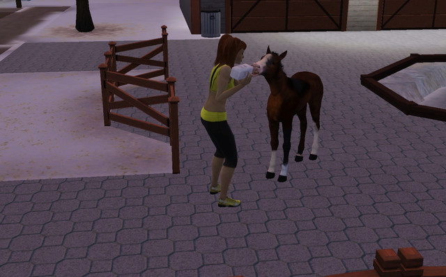 Screenshot-110