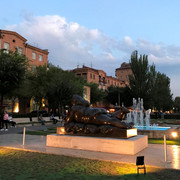 IMG-0630