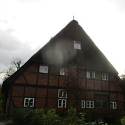 IMG-4256