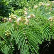 P1320188