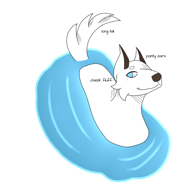 Swim-Base3-1.png