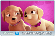 Image error