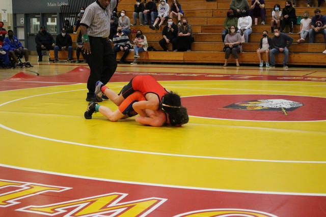 IMG-0119