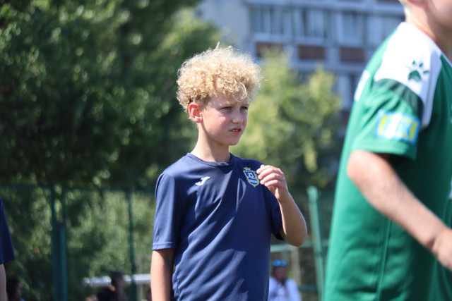 IMG-0229