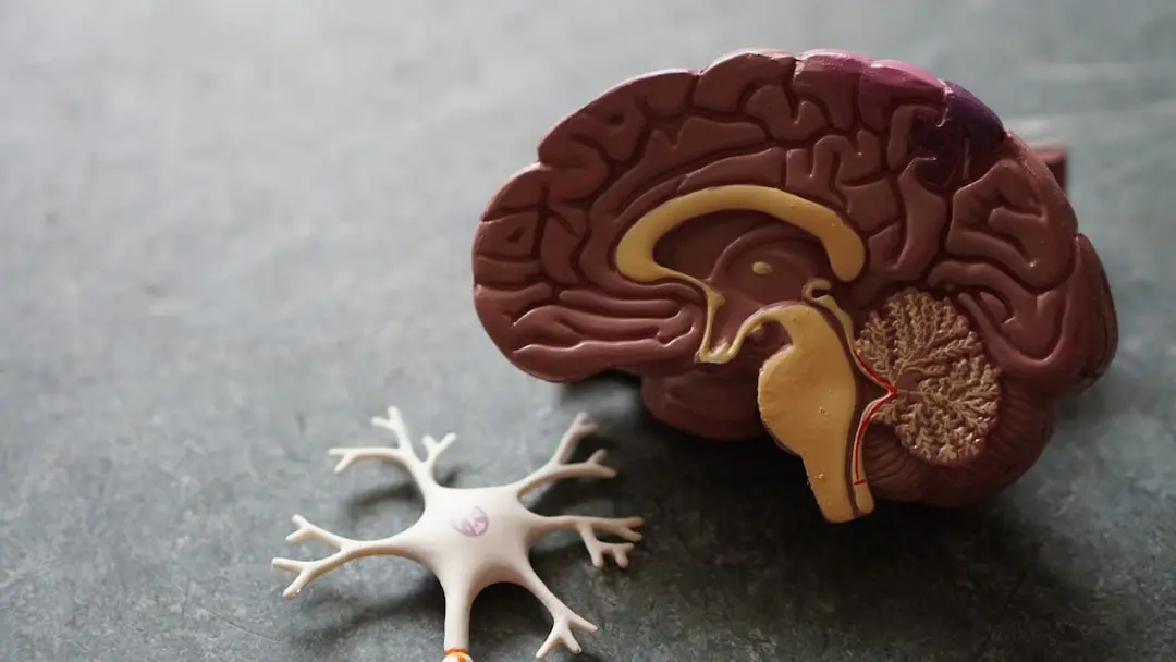 Secretul neurologului: trei exerciții simple de dimineață împotriva îmbătrânirii