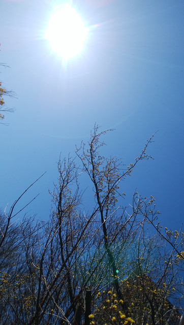 IMG-20230228-101055
