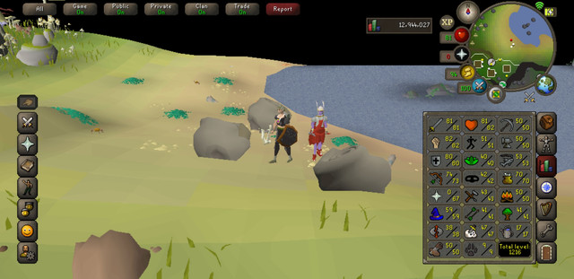 Screenshot-20200424-194111-Old-School-Rune-Scape