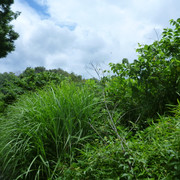P1320236