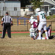 IMG-3146