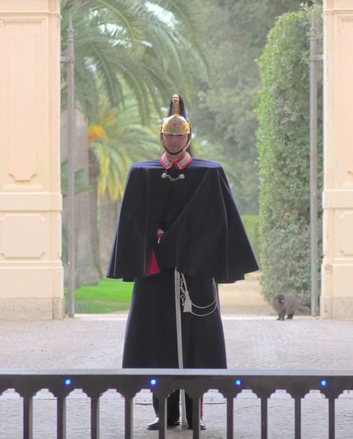 IMGP9303-1.jpg