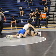 IMG-0312