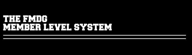 LEVEL-SYSTEM.png