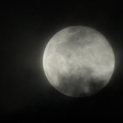 Pmoon-062