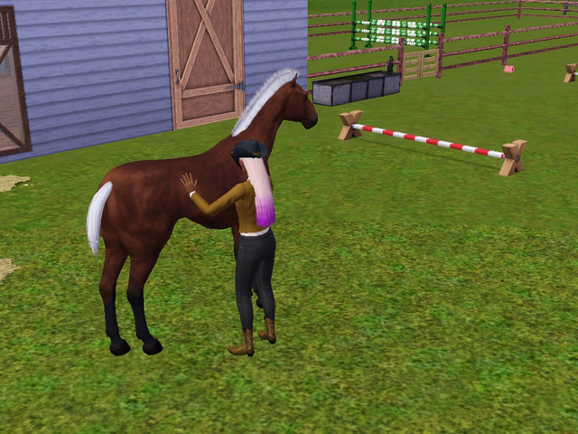 Screenshot-311