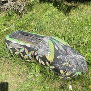 IMG-1479