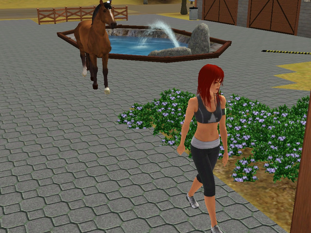 Screenshot-231