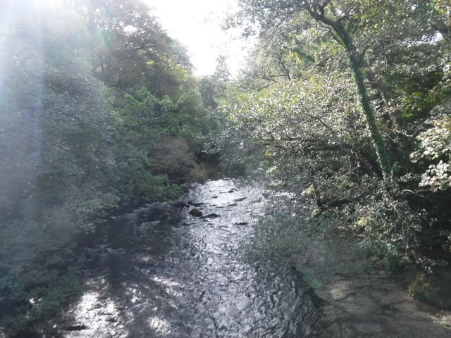 DSCF5524.jpg