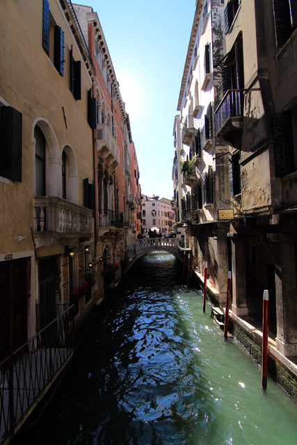 IMG-0446