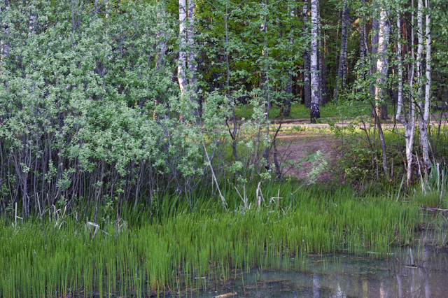 DSC3558.jpg