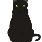 Black Cat