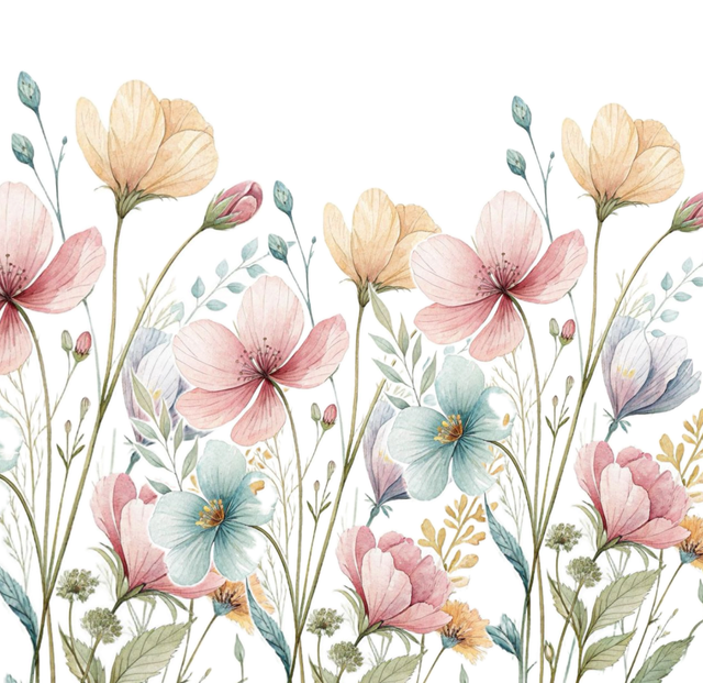 download (1).png