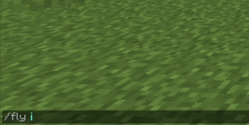 Fly | SpigotMC - High Performance Minecraft Software