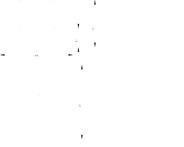 SW51-Dimension.gif