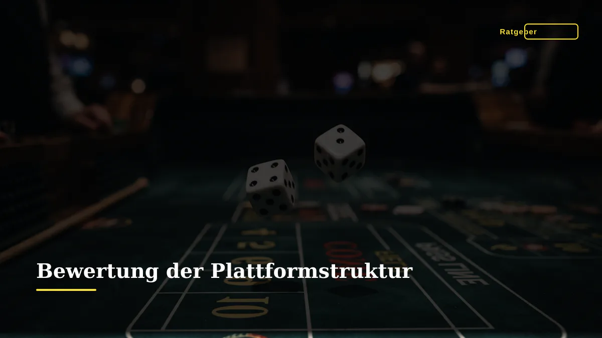 Bewertung der Plattformstruktur