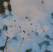 winter4.gif