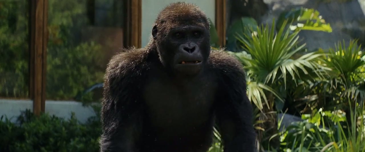 Rampage Screenshot