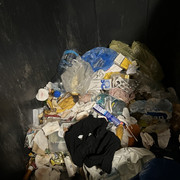 IMG-4527